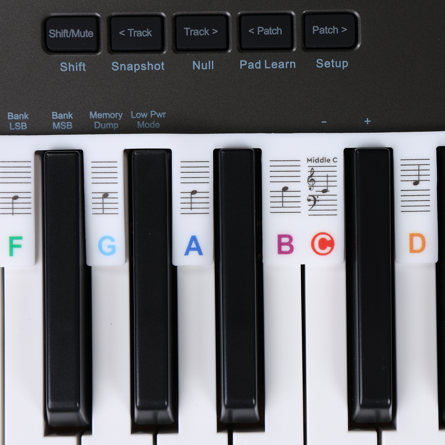 Afneembare siliconen piano toetsenwijzer - gekleurd